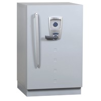Armoires Ignifuges Fichet Diva S120DIS | Coffre-Fort.com